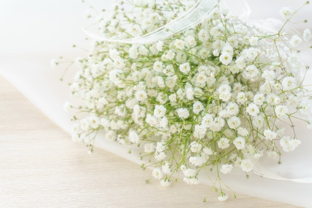 プロポーズ花タイム | プロポーズの花束としてカスミソウは？人気の理由とおすすめ通販案内