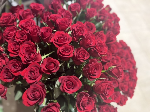 プロポーズ花タイム | バラ108本の意味｜花言葉でも永遠の愛を誓うプロポーズ【値段・由来・通販ガイド】