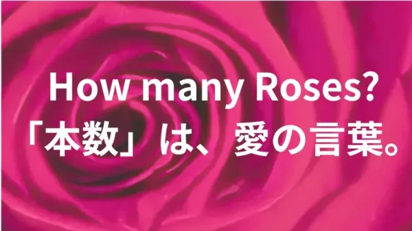 プロポーズ花タイム | プロポーズのバラ・花束は「何本がいい?」人気本数ランキングと意味一覧【失敗しない選び方】 プロポーズで贈るバラの本数選び。赤いバラの花びら背景に「『本数』は、愛の言葉。」のメッセージ